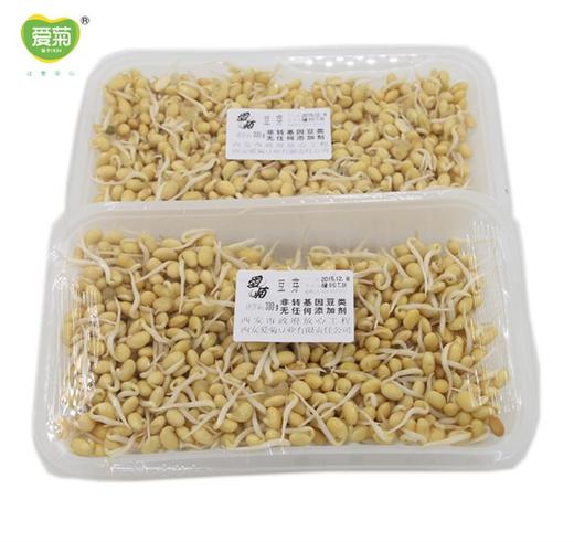 小金芽300g 商品图1