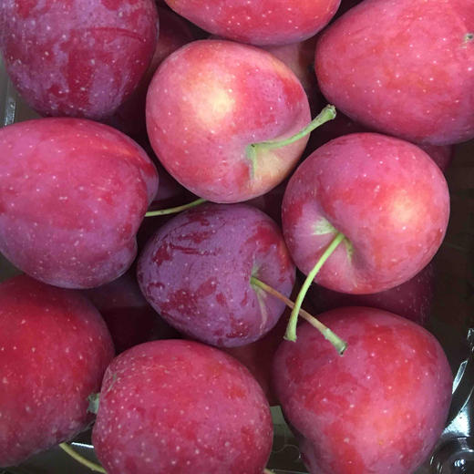 海棠鸡心红金果 红香脆甜 一盒约两斤多 20几个果子 强烈推荐