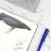 下架 鲸类主题笔记本 超科学空白纸记事本 商品缩略图7