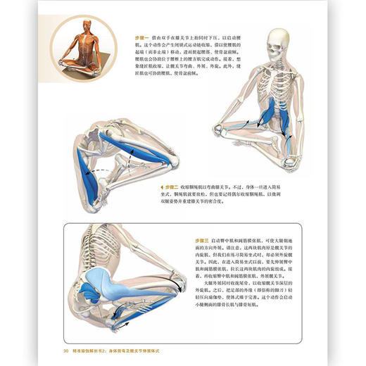 精zhun瑜伽解剖书2：身体前弯及髋关节伸展体式 商品图4