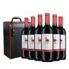 智利中央山谷梅洛葡萄酒 750ML  双支装/六支装送高档皮盒 商品缩略图1