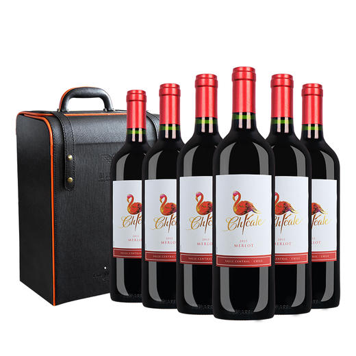 智利中央山谷梅洛葡萄酒 750ML  双支装/六支装送高档皮盒 商品图1