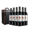 智利中央山谷赤霞珠葡萄酒 750ML 双支装/六支装送高档皮盒 商品缩略图1