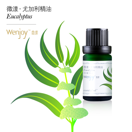 【纯妧手工坊】微漾·全进口澳洲尤加利单方精油