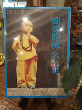 大冰的书《阿弥陀佛 么么哒》