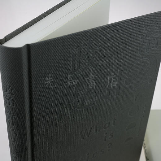 蔡东杰《政治是什么》 商品图2