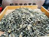 【玉女香针】新茶特级茉莉花茶浓香型 七窨一提，30克一罐。新品品鉴装。【限量30罐】散装茶 商品缩略图4