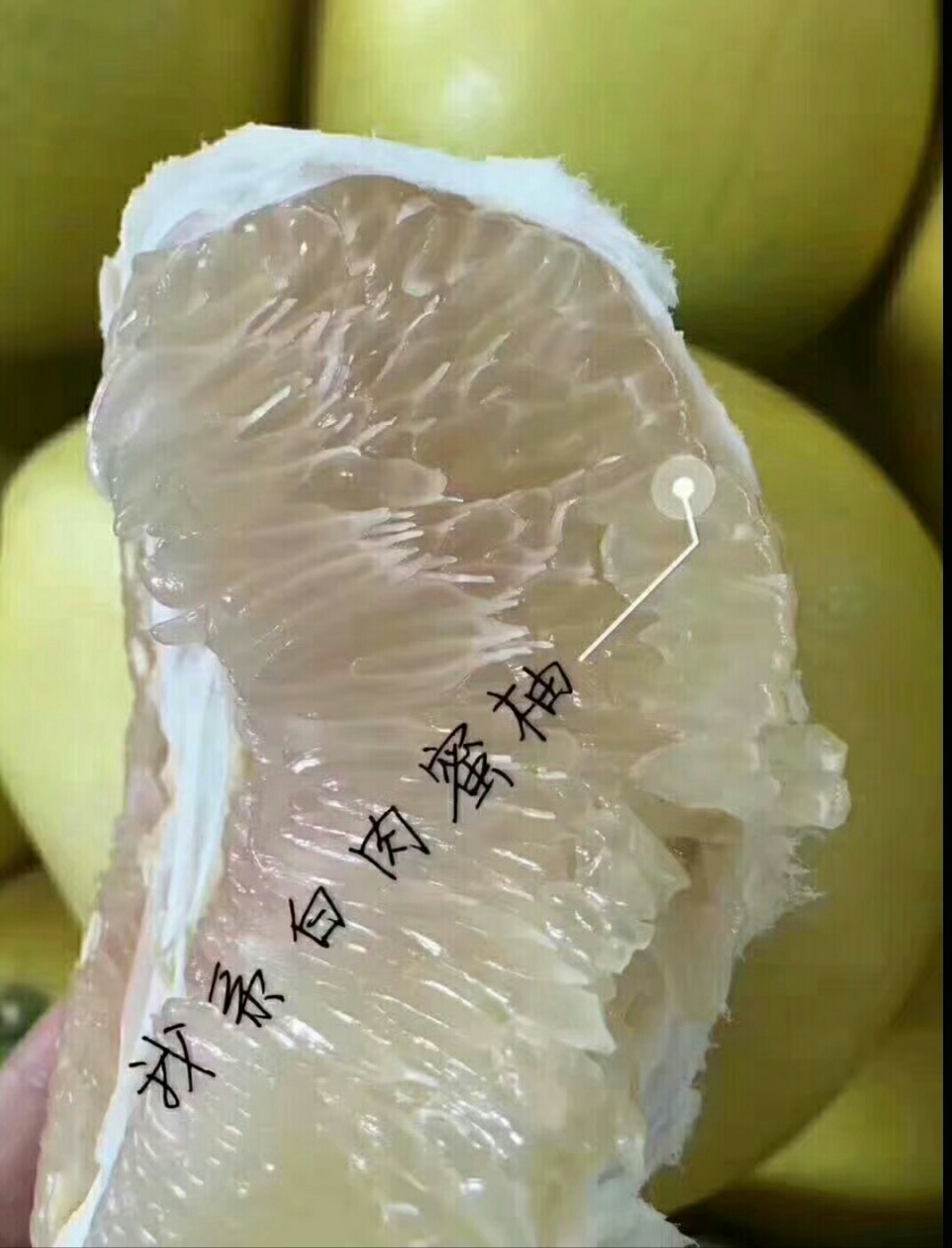 琯溪水晶柚