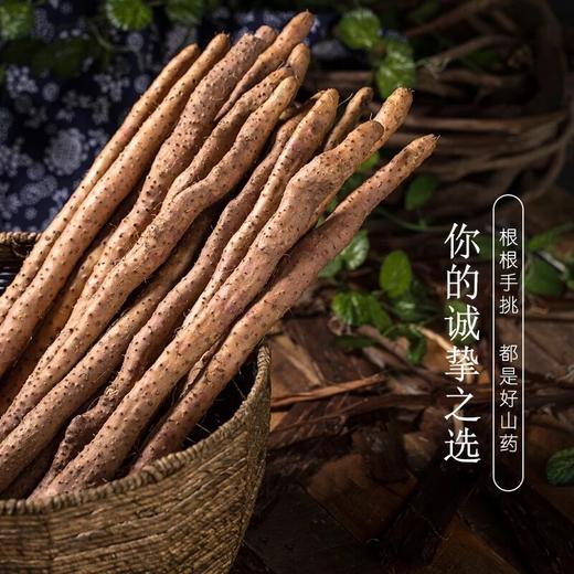 垆土铁棍山药约4.8斤家庭装  产地直发 商品图0