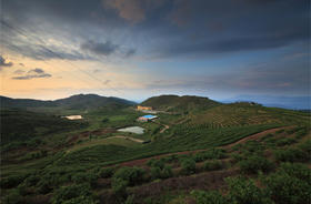 产品背后的故事