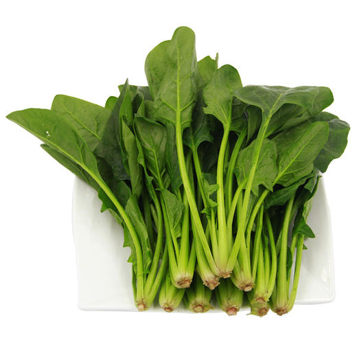 新鲜菠菜蔬菜一份约1斤