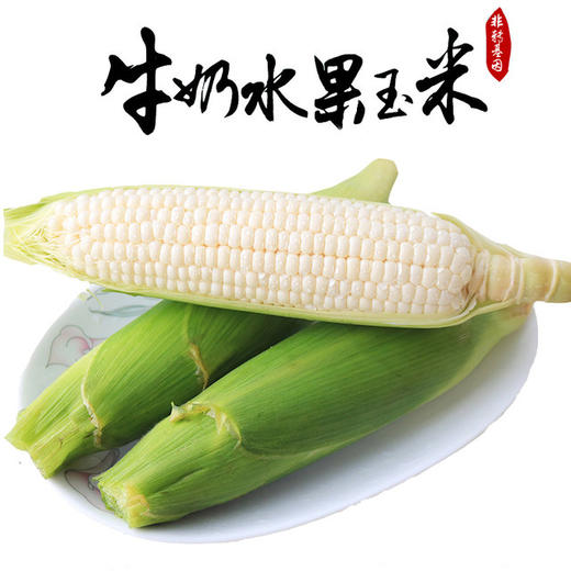 牛奶水果玉米鲜嫩多汁易爆浆甜度超高甜到你心里香软爽脆