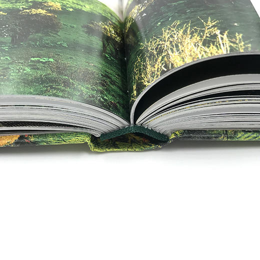 《再发现四川：100个最美观景拍摄地》关于四川旅游摄影的更全参考样本 中国国家地理原创团队、签约摄影师合力再创作，“发现系列”图书又一扛鼎力作。 商品图3