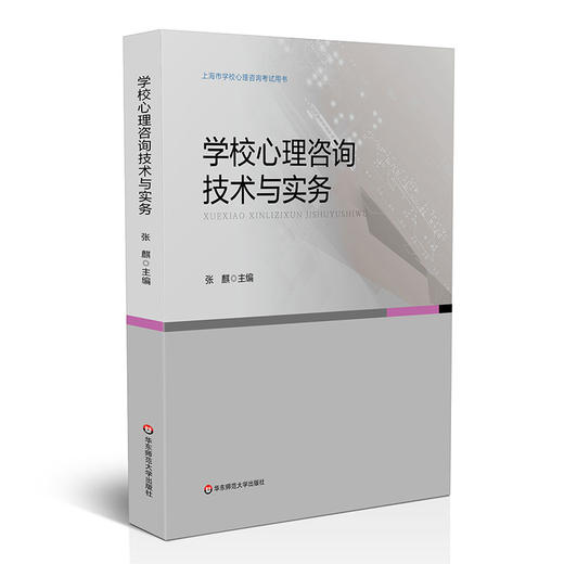 学校心理咨询技术与实务 上海市学校心理咨询考试培训用书 商品图0