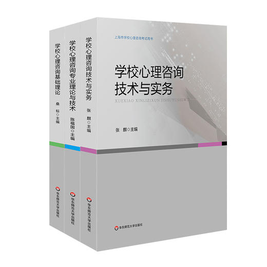 上海市学校心理咨询考试培训用书 全3册 基础理论+技术与实务+专业理论与技术 商品图1