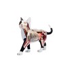 4D MASTER 猫拼装玩具 动物模型 半透视可拆卸模型 手办 商品缩略图2