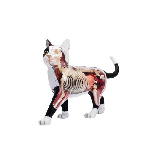 4D MASTER 猫拼装玩具 动物模型 半透视可拆卸模型 手办 商品图2