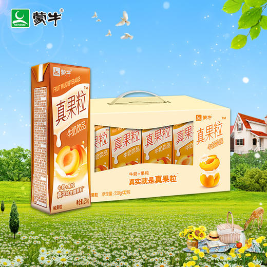 真果粒5种口味混搭（250ml*12盒） 商品图2