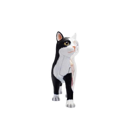 4D MASTER 猫拼装玩具 动物模型 半透视可拆卸模型 手办 商品图3