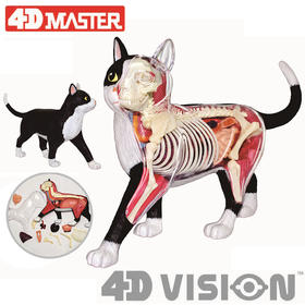4D MASTER 猫拼装玩具 动物模型 半透视可拆卸模型 手办