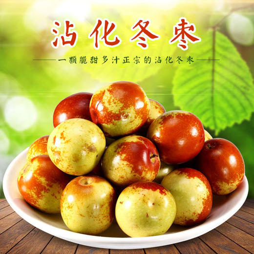 沾化二代冬枣3斤