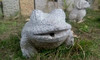 DS31 商品缩略图0