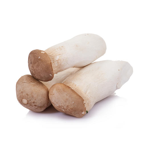 新鲜小杏鲍菇一件约1斤蔬菜