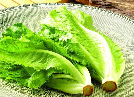 玻璃生菜 商品图0