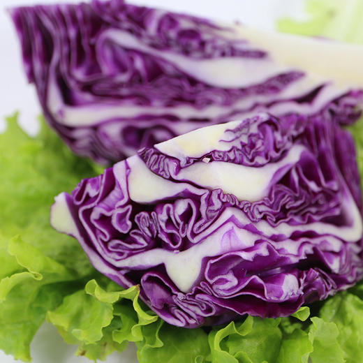 新鲜紫甘蓝紫茴子白紫包菜蔬菜