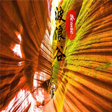 五一4天【雨岔波浪谷】陕晋交界精化の雁门关-龙洲丹霞-延安-中国羚羊谷-张壁古堡-王家大院 商品图2