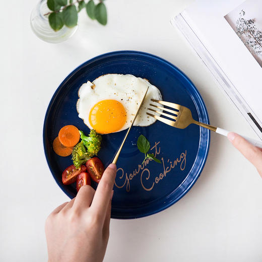 摩登主妇欧式蓝金字母系列陶瓷碗盘创意西餐盘早餐盘菜盘沙拉碗盘1 商品图3