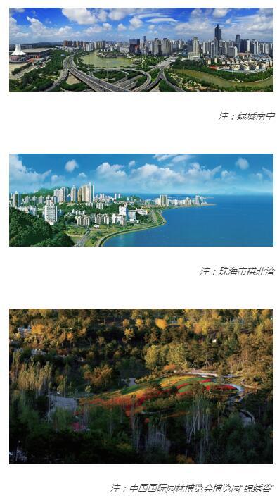 践行绿色发展 服务绿色生活--园林绿化科学发展指南 商品图2