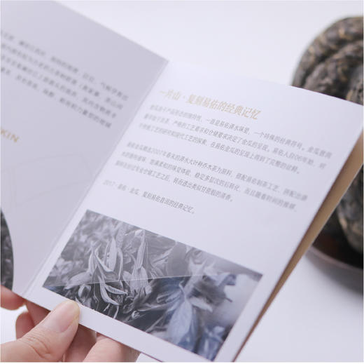 2017·金瓜 商品图5