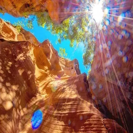 五一4天【雨岔波浪谷】陕晋交界精化の雁门关-龙洲丹霞-延安-中国羚羊谷-张壁古堡-王家大院 商品图3