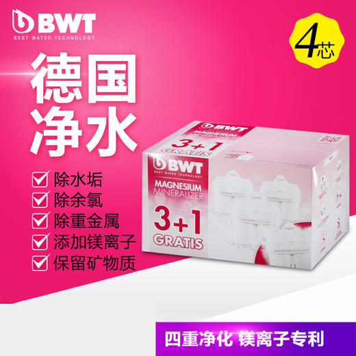 BWT长效滤芯4支装 商品图0