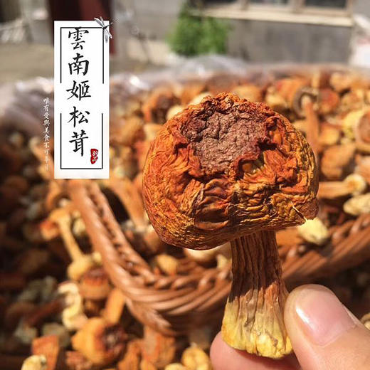 【顺丰】云南姬松茸 云南干货特产 松茸菌菇 蘑菇 商品图3