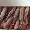 刺身海鲜牡丹虾15/19 商品缩略图4