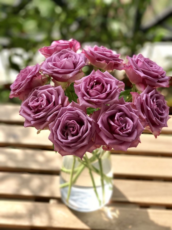 9元/2扎起!方德玫瑰多品种组合2扎(广东免邮,省外加10元邮费)