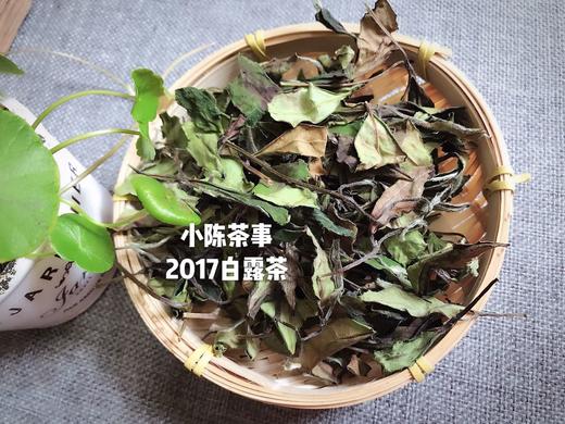 2017白露茶，在仲夏般的初秋，长成香气沉郁的娇娥 （4.5斤收藏装） 商品图2