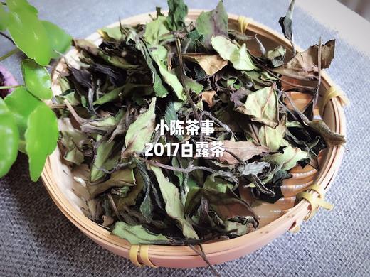 2017白露茶，在仲夏般的初秋，长成香气沉郁的娇娥 （4.5斤收藏装） 商品图0