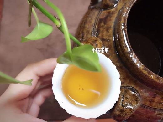 2017白露茶，在仲夏般的初秋，长成香气沉郁的娇娥 （4.5斤收藏装） 商品图8