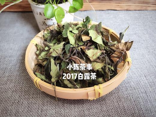 2017白露茶，在仲夏般的初秋，长成香气沉郁的娇娥 （4.5斤收藏装） 商品图1