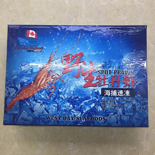 刺身海鲜牡丹虾15/19 商品图1