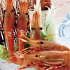 刺身海鲜牡丹虾15/19 商品缩略图0