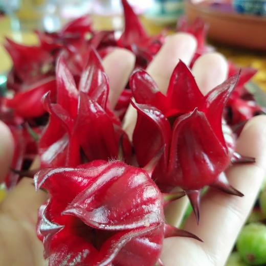 生态洛神花干 | 绿家自产*Ecological dried roselle | Self-production 商品图3