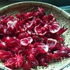 生态洛神花干 | 绿家自产*Ecological dried roselle | Self-production 商品缩略图2