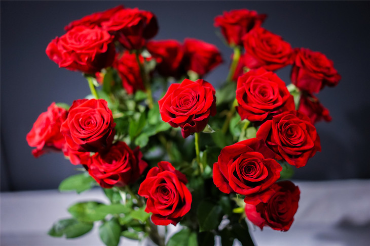 同城配送家庭瓶养高端花卉自由女神单支