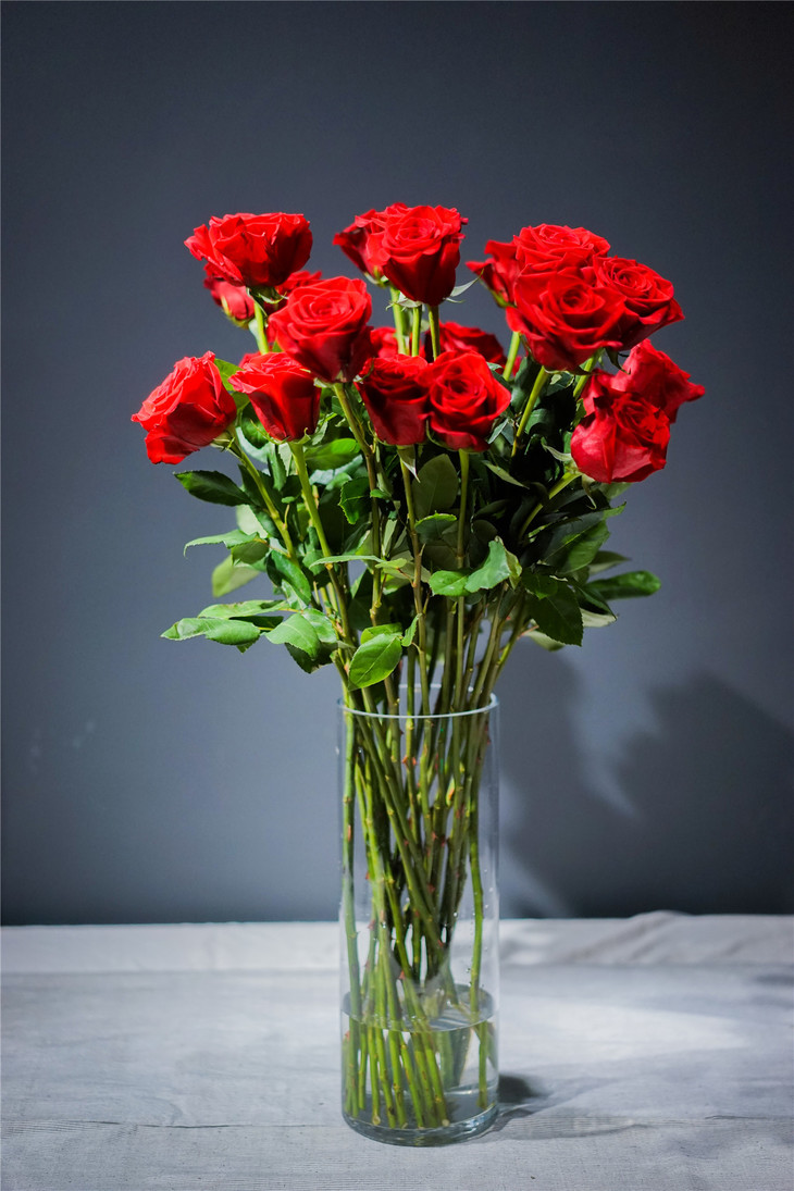 同城配送家庭瓶养高端花卉自由女神单支