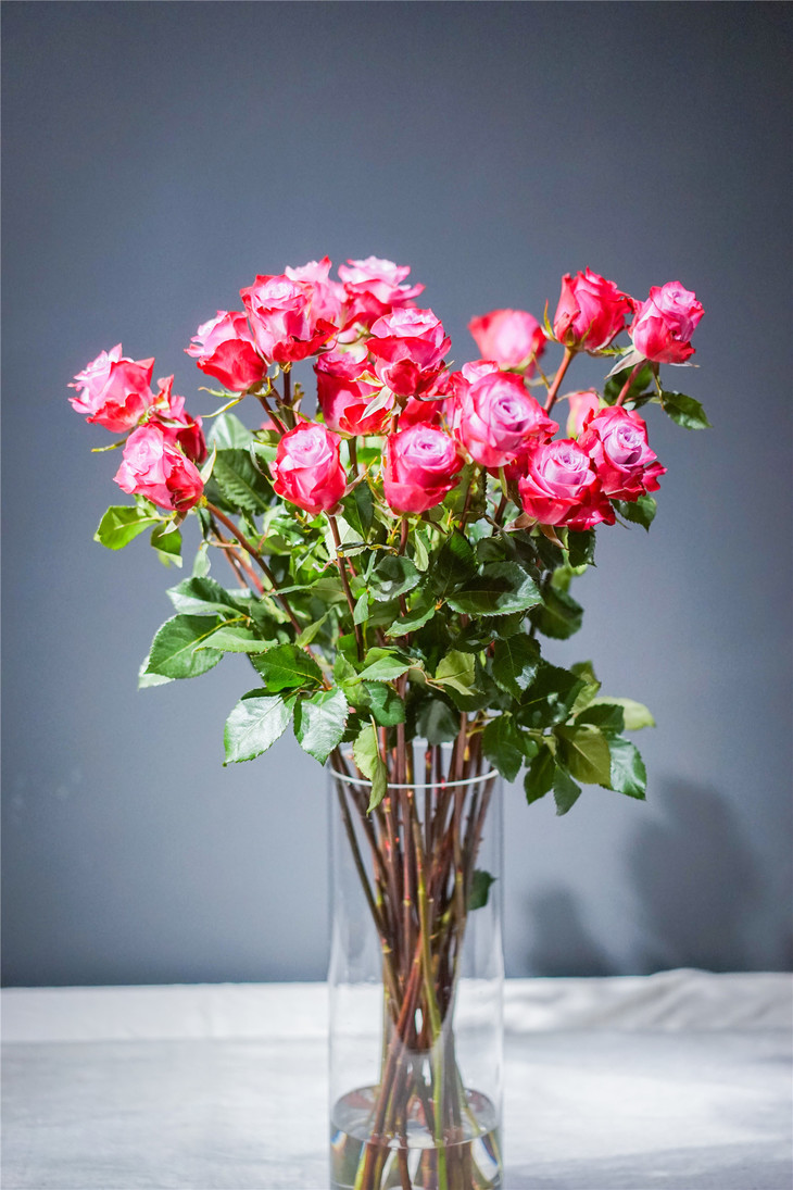 同城配送家庭瓶养 高端花卉玫瑰 【一片深紫】