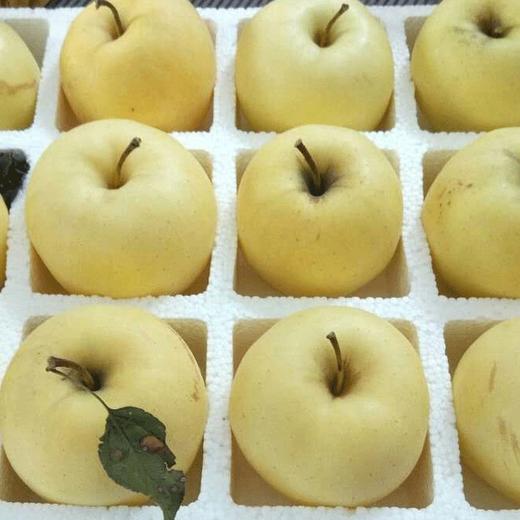 【百汇到家】黄元帅苹果 苹果 水果 商品图1